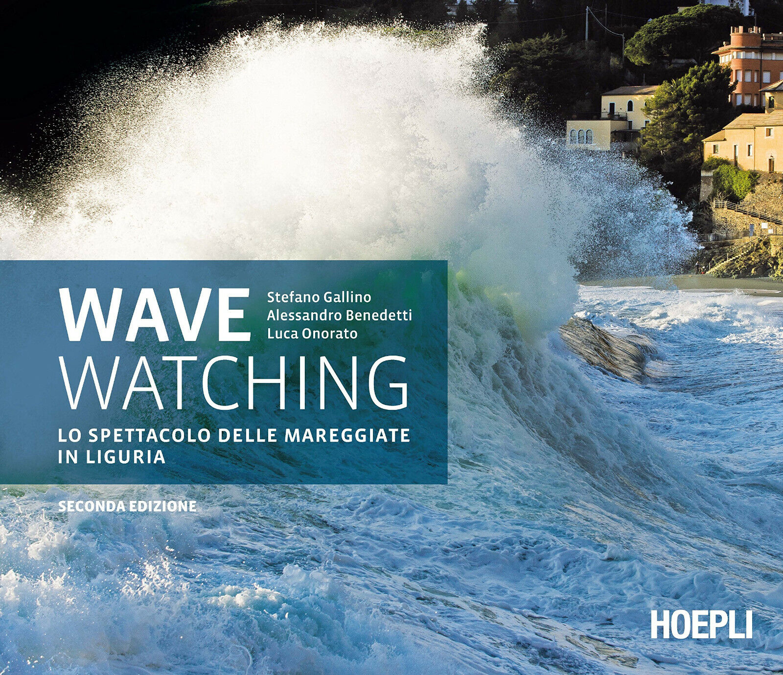Wave watching. Lo spettacolo delle mareggiate in Liguria - hoepli, 2016