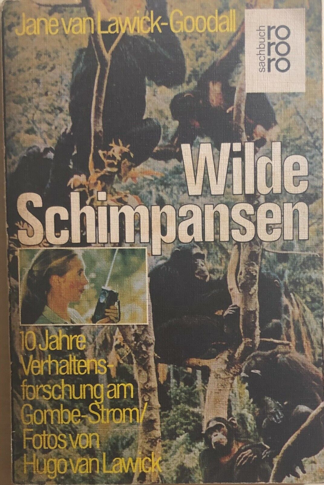 Wilde Schimpansen di Jane Van Lawick-goodall, 1975, Sachbuch Rororo