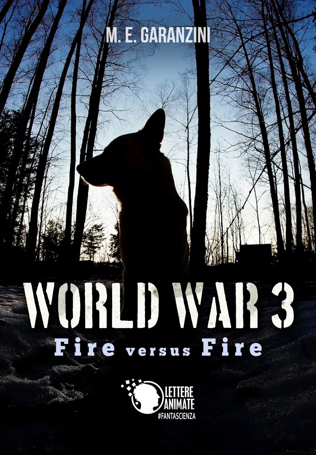 World War 3 - Fire versus Fire  di M. E. Garanzini,  2017,  Lettere Animate Edit
