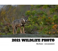 2021 WILDLIFE PHOTO di Max Venturi,  2021,  Youcanprint