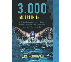 3.000m in 1h - Sebastiano Brigandì - Independently published, 2018