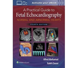 A Practical Guide to Fetal Echocardiography - Alfred Z. Abuhamad - 2022