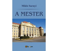 A mester	 di Miklós Surányi,  2017,  Youcanprint