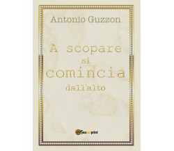 A scopare si comincia dall’alto	 di Antonio Guzzon,  2018,  Youcanprint