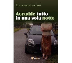 Accadde tutto in una sola notte	 di Francesco Luciani,  2016,  Youcanprint