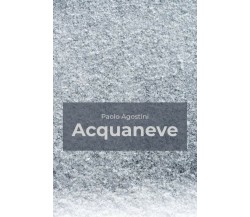 Acquaneve	 di Paolo Agostini,  2019,  Youcanprint