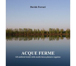 Acque ferme	 di Davide Ferrari,  2019,  Youcanprint