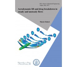 Aerodynamic Lift and Drag Breakdown in Steady and Unsteady Flows-Mario Ostieri-P