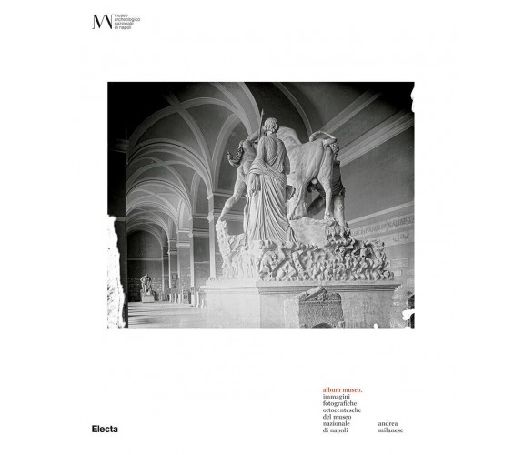 Album Museo. Immagini fotografiche ottocentesche del Museo Nazionale di Napoli