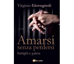 Amarsi senza perdersi. Intrighi e galera	 di Virginio Giovagnoli,  2017