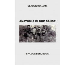 Anatomia di due bande - Claudio Galiani,  Youcanprint - P