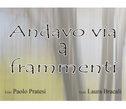 Andavo via a frammenti	 di Paolo Pratesi, Laura Bracali,  2017,  Youcanprint