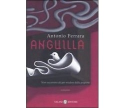 Anguilla romanzo - Antonio Ferrara - Salani , 2005 - C