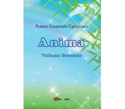 Anima - Volume Secondo	 di Franco Emanuele Carigliano,  2016,  Youcanprint