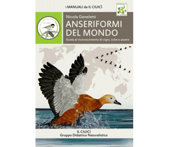 Anseriformi Del Mondo Guida Al Riconoscimento Di Cigni, Oche e Anatre di Nicola 