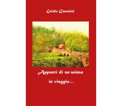 Appunti di un’anima in viaggio di Guido Giannini,  2018,  Youcanprint