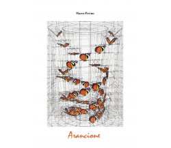 Arancione	 di Marco Perino,  2020,  Youcanprint