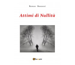 Attimi di nullità di Renzo Besozzi,  2018,  Youcanprint