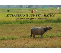 Attraverso il Sud Est Asiatico	 di Raffaello Cremonesi,  2019,  Youcanprint