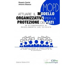 Attuare il Modello Organizzativo per la Protezione dei Dati	 di Rosario Carrisi 
