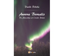 Aurora borealis. Da Stoccolma al circolo polare - Davide Ribella,  2017 - P