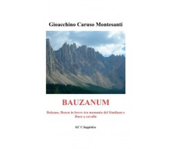 Bauzanum. Bolzano, Bozen in breve tra mummia del Similaun e Duce a cavallo	 di G