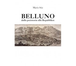 Belluno dalla preistoria alla Repubblica di Mario Stiz,  2022,  Youcanprint