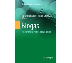 Biogas - Meisam Tabatabaei - Springer, 2019