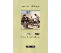 Bir el Gobi! Storia di un’altra Italia di Alfonso Indelicato,  2021,  Tabula Fat