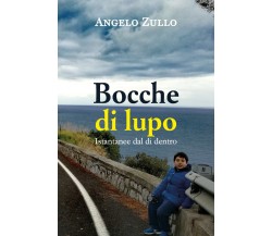 Bocche di lupo. Istantanee dal di dentro	 di Angelo Zullo,  2020,  Youcanprint