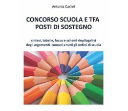 CONCORSO SCUOLA E TFA POSTI DI SOSTEGNO: Sintesi, tabelle, focus e schemi riepil