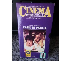 Cane di Paglia - 1991 - DeAgostini -F