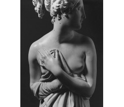 Canova. Quattro tempi. Le sculture della Gypsotecha di Possagno. (Vol. 3) - 2023