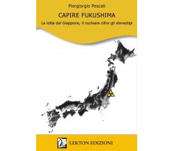 Capire Fukushima. La lotta del Giappone, il nucleare oltre gli stereotipi	 di Pi