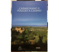 Carmignano e Poggio a Caiano. Agricoltura, proprietà e territorio fra Medioevo e