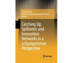Catching Up, Spillovers and Innovation Networks in a Schumpeterian Perspective