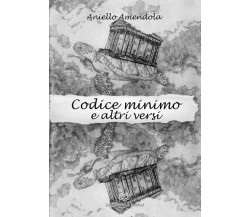 Codice Minimo e altri Versi di Aniello Amendola, 2023, Nonsolopoesie Edizioni