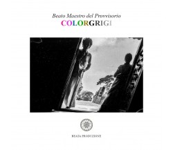 Colorgrigi	di Beato Maestro Del Provvisorio,  2020,  Youcanprint