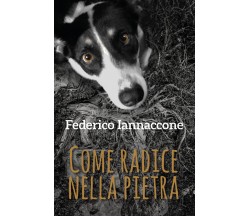 Come radice nella pietra	- Federico Iannaccone,  2018,  Youcanprint - P