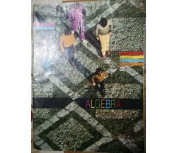 Corso di matematica. Per la Scuola media Volume 2. Algebra di Paolo Oriolo,1990F