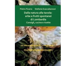 Dalla natura alla tavola: erbe e frutti spontanei di Lombardia. Consigli, cucina