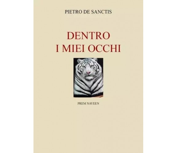  Dentro i miei occhi di Pietro De Sanctis, 2023, Youcanprint