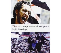 Diario di una primavera incompiuta di Enrico Campofreda,  2012,  Abao Aqu