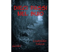 Dieci passi nel buio	 di Felice Castaldo,  2016,  Youcanprint