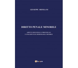 Diritto penale minorile. Aspetti sostanziali e processuali e lineamenti di crimi