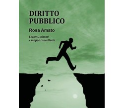 Diritto pubblico  di Rosa Amato,  2018,  Youcanprint  -  ER