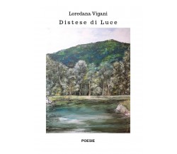 Distese di luce	di Loredana Vigani,  2019,  Youcanprint