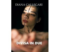 Divisa in due di Diana Callegari, 2023, Youcanprint