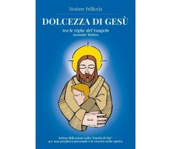  Dolcezza di Gesù di Nestore Pelliccia, 2023, Youcanprint