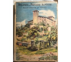 Dolomiti e paesaggi alpestri - Dallo Stelvio al Tonale di Manlio Besozzi,  1929,